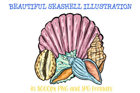 Download Seashell Clipart Illustration Shells Sea - Premium Resources